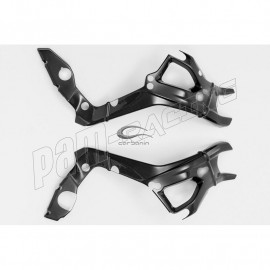 Protections de cadre carbone CARBONIN S1000RR 2019-2026, M1000RR, S1000R, M1000R