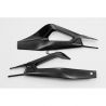 Protections de bras oscillant CARBONIN S1000RR 2019-2026, S1000R 2021-2026, M1000R, M1000RR