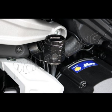Bocal de frein arrière aluminium GSG MOTO Diavel 1260 2019-2020