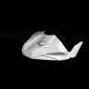 Protection avec flancs de réservoir avio fibre CARBONIN R1 2020-2024