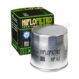 Filtre à huile HIFLOFILTRO BMW HF163