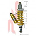 Amortisseur arrière type De Carbon avec bonbonne séparée OHLINS Speed Triple 1050 2005-2007, 955I 2002-2004