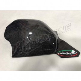 Protection de bras oscillant carbone CARBONVANI Panigale V4, V4R, V4S 2018-2024
