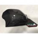 Protection de bras oscillant carbone CARBONVANI Panigale V4, V4R, V4S 2018-2024
