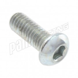 Vis acier galvanisé tête bombée M6x16 mm LIGHTECH