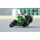 Protection de réservoir fibre de verre ZX10R 08-10 SRT FAIRINGS