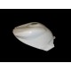 Protection réservoir R1 07-08 SRT FAIRINGS