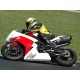 Flanc gauche fibre de verre R1 07-08 SRT FAIRINGS