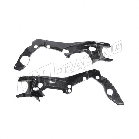 Protections de cadres carbone Lightech S1000RR 2019-2024, S1000R 2021-2024