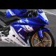 Carénage avant racing 4 parties fibre de verre YZF125R 2008-2018 PLASTIC BIKE