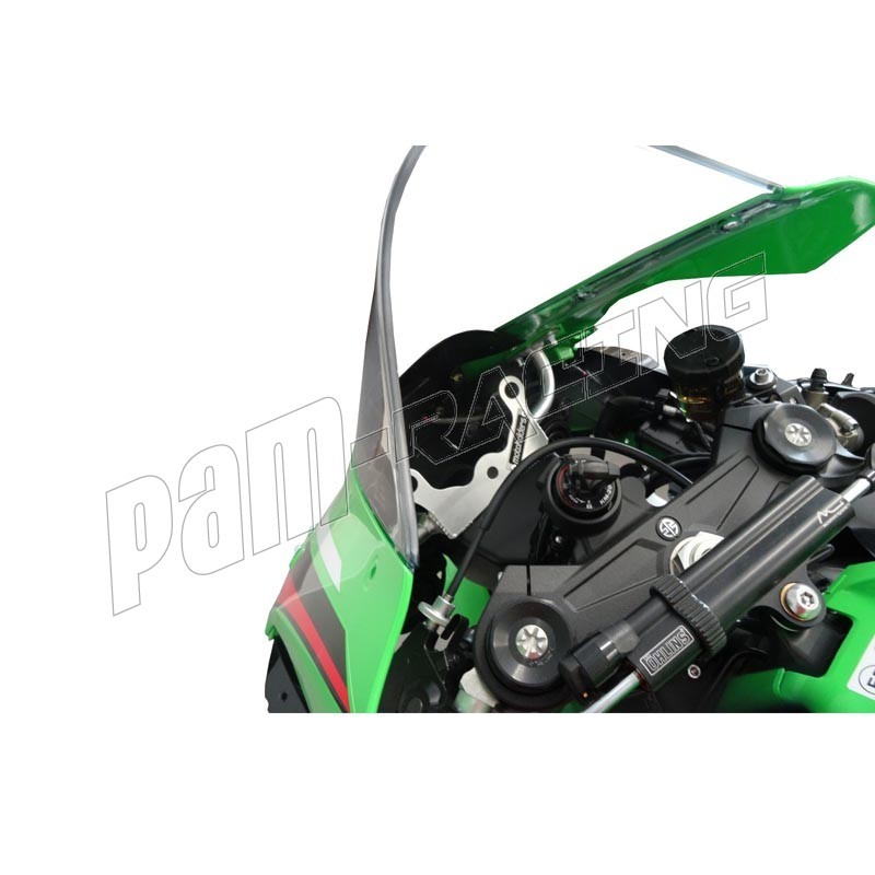Entretoise(s) de roue arrière racing ZX10R 2011-2022 Valter Moto - PAM  RACING