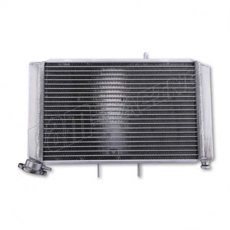 Radiateur eau Tiger 800 2011-2014