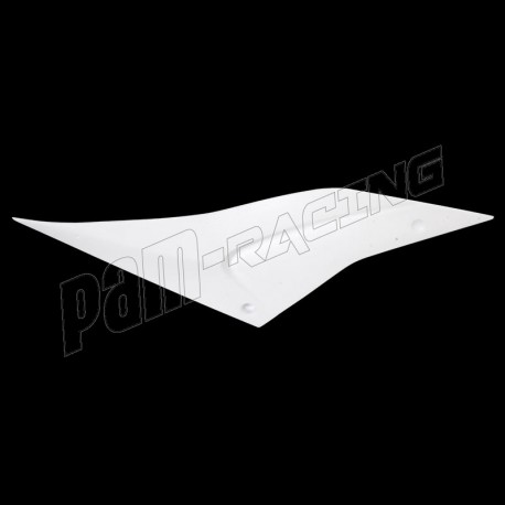 Panneau latéral fibre de verre pour coque arrière racing RSV4 1100 Factory 2021-2024 CRUCIATA