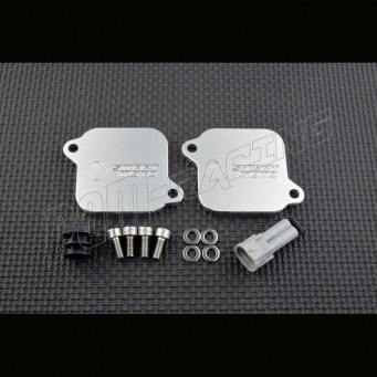 Plaque suppression antipollution + système pair Panigale V4/V4R/V4S, Streetfighter V4/V4S, Multistrada V4 SmartMoto