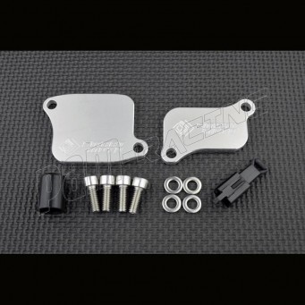 Plaque suppression antipollution valve AIS système pair Daytona 675/R 2006-2012, Street Triple 675/R 2007-2012 SmartMoto