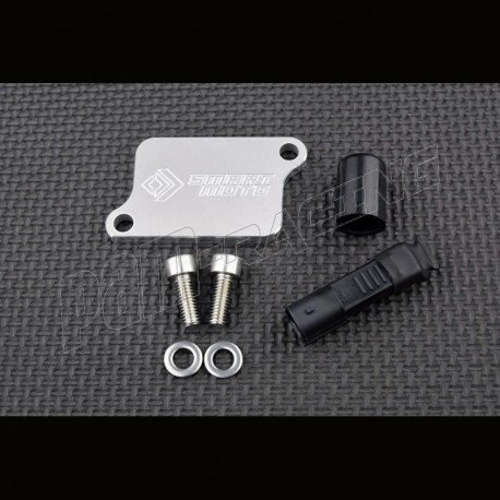 Plaque suppression antipollution + système pair KLX250 2009-2021, KLX300 2020-2022 SmartMoto