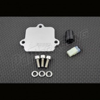 Plaque suppression antipollution valve AIS système pair TDM900 2002-2014 SmartMoto