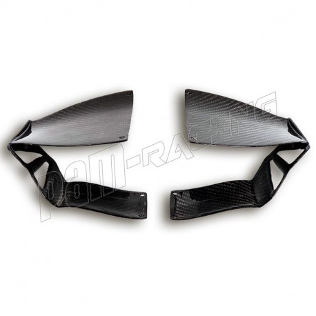 Winglets type 02 carbone avec kit de montage GRIPONE pour motos avec carénage