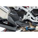 Protection échappement carbone ILMBERGER S1000R 2021-2024