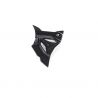 Protection de pignon de sortie de boite carbone ILMBERGER S1000R 2021-2025, S1000RR 2019-2025, M1000RR, M1000R 2021-2025