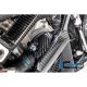 Protection de pompe a eau carbone ILMBERGER S1000R, S1000RR, M1000R 2019-2025, M1000RR 2021-2024