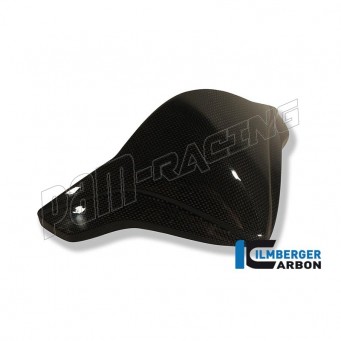 Bulle carbone ILMBERGER CB1000R 2008-2022