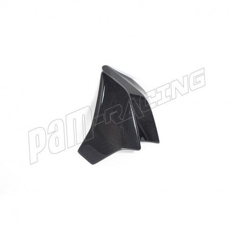 Ecope de radiateur carbone ILMBERGER Diavel 1260 2019-2022