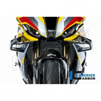 Ailerons carbone ILMBERGER S1000RR 2019-2022, M1000RR 2021-2022