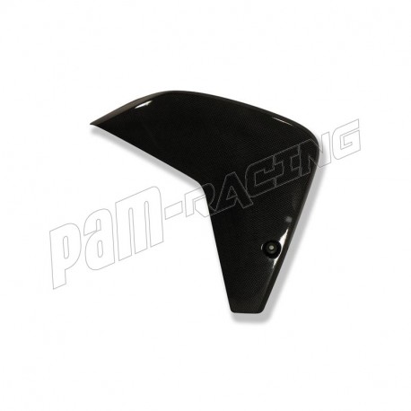 Ailerons carbone ILMBERGER Multistrada 1200 2010-2012