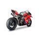 Ligne 3/4 inox ou titane double silencieux Dyno titane Panigale V4/V4R/V4S 2018-2023, Streetfighter V4/S 2020-2024 SPARK