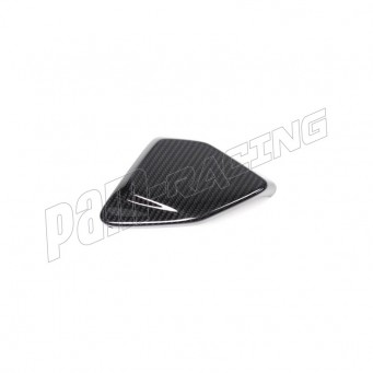 Couvercle de boîte ESA carbone ILMBERGER R1250GS 2019-2023
