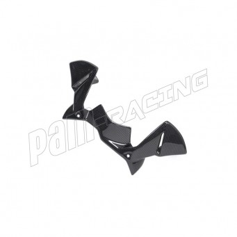 Couvercle de pare-brise carbone ILMBERGER R1250GS 2019-2023