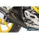 Protection de collecteur carbone ILMBERGER R1200R/RS 2015-2018