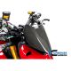 Couvercle d'instruments carbone ILMBERGER 1100 Streetfighter V4 2020-2024