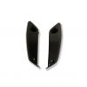 Déflecteurs pour garde-boue avant carbone ILMBERGER R1200R 2011-2014