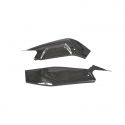 Protections de bras oscillant carbone Lightech RS660, Tuono 660 2020-2025