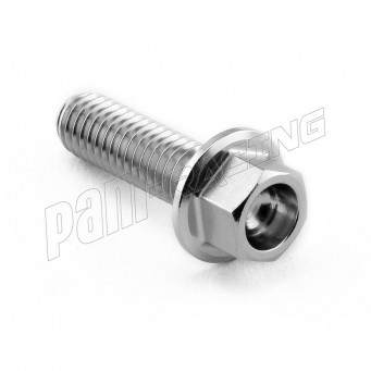 Vis tête hexagonale M6 x 1.00 inox PRO-BOLT