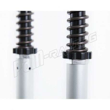 Kit cartouches OHLINS NIX30 MT09 2014-2020, MT09 TRACER 2015-2020, MT09 TRACER GT 2018-2020, XSR 900 2016-2020