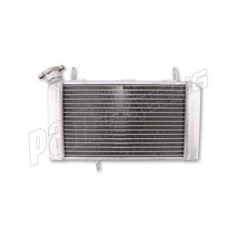 Radiateur eau SV650 1999-2002