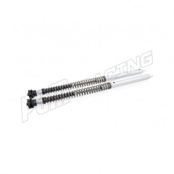 Kit cartouche NIX30 OHLINS Z900 RS 2018-2026 /RS Café 2018-2020 /RS Performance 2018-2021