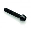 Vis aluminium BTR Conique M8 x 1.25 LIGHTECH