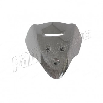 Couvercle de support de tachymètre LIGHTECH carbone Streetfighter V4/V4S 2020-2024