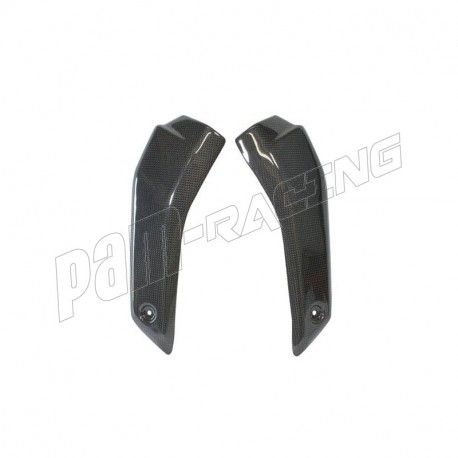 Protection de radiateur latéral inférieur carbone Lightech Streetfighter V4/V4S 2020-2024