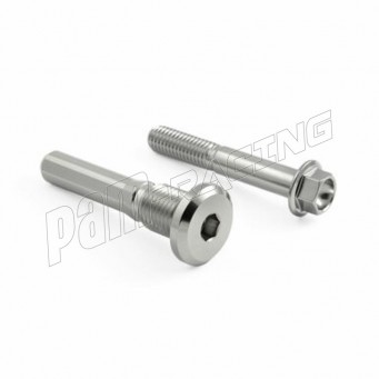 Vis d'étriers de frein arrière inox poli PRO-BOLT