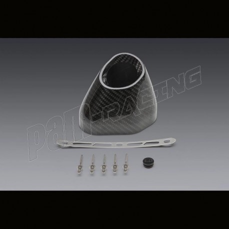 Kit Embout carbone de remplacement pour silencieux R-77 Yoshimura