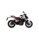 Silencieux homologué nichrom noir GP2 ARROW Duke 125/390 2017-2020
