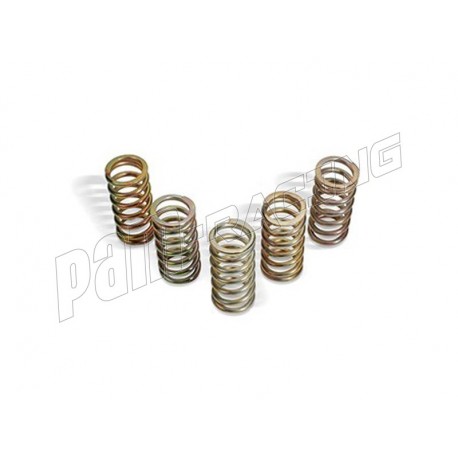 Ressorts d'embrayage renforcés GSXR600 2001-2003, CBR600RR 2003-2012, CBR1000F 1987-1999 Barnett