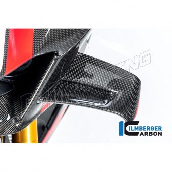 Ailerons carbone ILMBERGER Panigale V4S/V4SP2 2022-2023