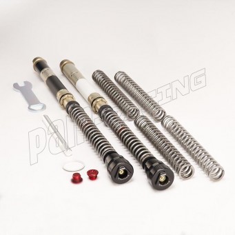 Kit cartouches DDS K-TECH H2, MT-10, R1 avec fourche KAYABA