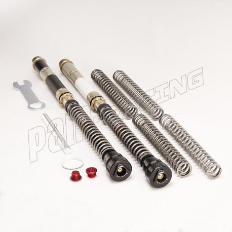 Kit cartouches DDS K-TECH H2, MT-10, R1 avec fourche KAYABA